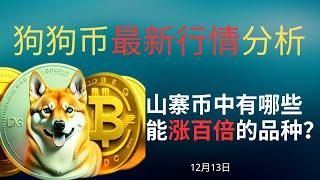 狗狗币 doge币 比特币 BTC 区块链 加密货币 最新行情走势分析，山寨币中有哪些能涨百倍的品种？欧洲准备推出自己的稳定币取代USDT？