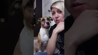 Дитё)) #ханна #говорящаясобака #мама #чудо #собаки