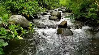 aliran sungai cibanjaran gunung galunggung (video slow motion). #shorts