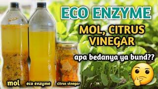 MEMBUAT ECO ENZYME (GARBAGE ENZYME)