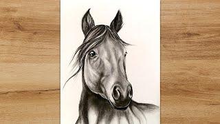 How to Draw a Realistic Horse Head with Pencil | Animal Drawing Tutorial