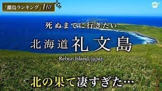 【教えたくない】日本最北端！離島ランキング1位！礼文島ひとり旅は絶景・グルメ最高すぎた！おすすめ絶景スポット【北海道離島・旅行・離島・秘境・観光】Rebun Island, Japan