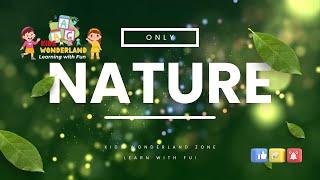 ONLY NATURE | Welcome to the mesmerizing world of "NATURE" | Kids Wonderland Zone!