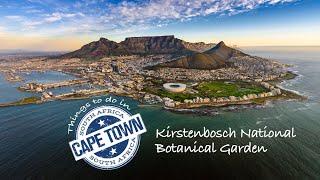 Cape Town | Kirstenbosch National Botanical Garden