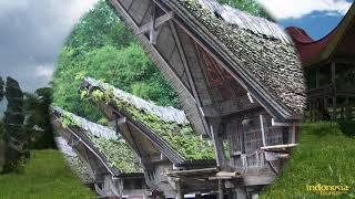 Explore The Pure Traditional Village of Sangalla in Tana Toraja Indonesia