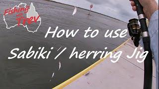How to use a Sabiki Rig / Herring Jig