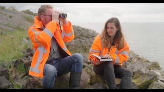 Afsluitdijk vlogger Femke | Vlog 4 : Ecologie op de Afsluitdijk