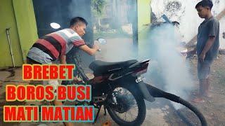 MOTOR BREBET BUSI HITAM CEPAT MATI