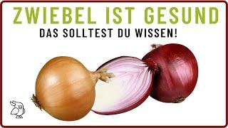 7 UNGLAUBLICHE WIRKUNGEN DER ZWIEBEL Warum Zwiebel essen so gesund ist!