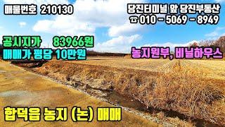 거래보류 / 매물번호 210130 / 당진시 합덕읍 농지 매매 / 평당 10만원 / 당진부동산