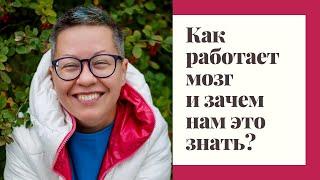 Как работает мозг и зачем нам это знать?