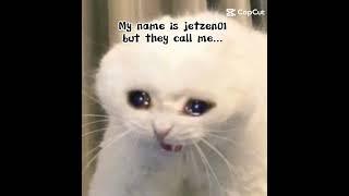 My name is jetzen01 but they call me...( not my template )