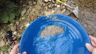 Panning for gold in the area of the Chiemgau: prospecting a new creek!