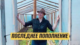 Закупаем оборудование и новое поголовье - а нам всё мало!