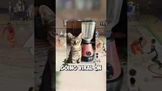 Video Blender Kucing Terkenal Dijelaskan