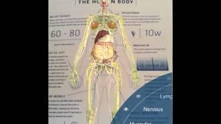 New Update to DAQRI's Anatomy 4D App- The Human Body