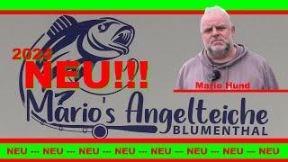 Mario' s Angelteiche in Blumenthal - (Turbos Angelteiche werden Mario' s Angelteiche) NEU! 2024