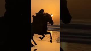 Планета Земля   #врек #музыка #видео #природа#животные#красота