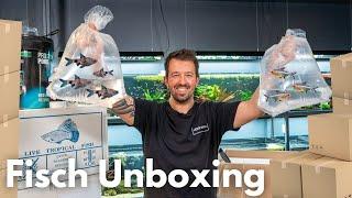 Fisch Unboxing bei Liquid Nature!