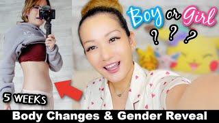 Pregnancy Issues in Japan, Gender Reveal, First Trimester Mess | Pregnant in Japan Vlog