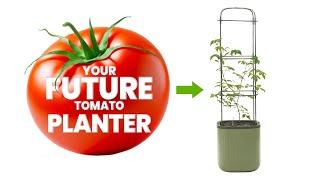 Your NEXT Self-Watering Tomato Planter Pot