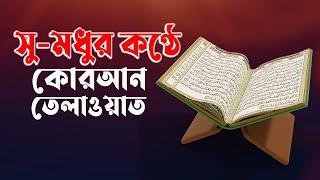 Most beautiful Quran recitation. Hafiz Qari Maulana Rafiqul Islam Zakaria Muslim Tv24