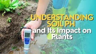 Understanding Soil pH and Its Impact on Plants