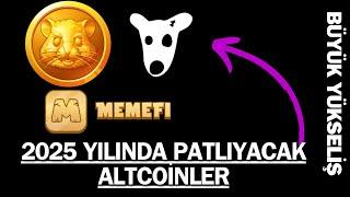 2025 YILINDA PATLAMA YAPABİLECEK ALTCOİNLER '' TON HMST MEMEFİ DOGS)  BÜYÜK YÜKSELİŞİ KACIRMA