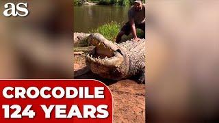 Terrifying Sound of Henry, the World's Oldest Crocodile at 124 Years Old