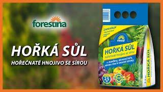 Hořká sůl