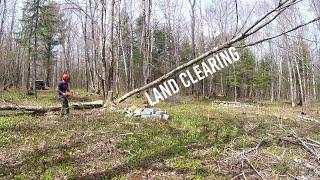 Land clearing by hand for my OFF GRID Cabin build