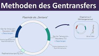 Methoden des Gentransfers - [Vektoren, Plasmide, Transformation] - [Gentechnik, 4/7]