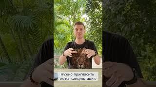 Дорожная карта (продажи через консультацию)
