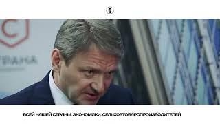 День поля 2017