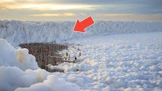 "70 Most Unbelievable Nature Moments Ever Caught on Camera"