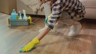 DIY Magic  Vanish Carpet Stains in Minutes
