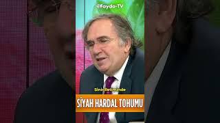 Siyah Hardal Tohumu Mucizevi Faydası #ibrahimsaraçoğlu #faydatv #şifalıbitkiler #siyahhardaltohumu