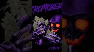 [Free] MILLIONAIRE TYPE BEAT YOYOHONEYSINGH