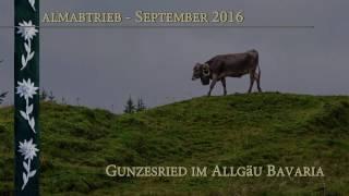 Gunzesried 2016 4k