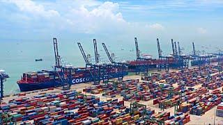 New customs clearance mode launched in Guangdong, China