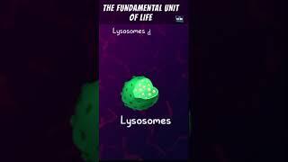 THE FUNDAMENTAL UNIT OF LIFE in 1 Shot | FULL Chapter Animation | ICSE | CBSE | NCERT Science