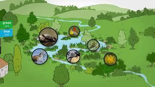 Ecosystem services : Biodiversity and nature provide countless benefits for humans