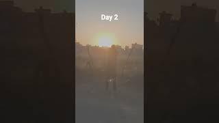 90 days challenge inspired by bumble bee insects day two #fitness #youtubeshorts #health