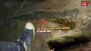 This Man Is Scared!! Accidentally stepped on a 23 meter giant snake in a haunted cave...