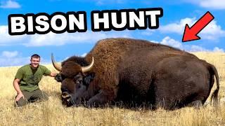 I Hunted the American Bison!