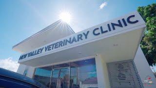New Valley Veterinary Clinic Tour