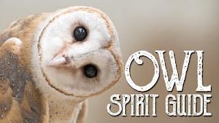 The Owl Spirit Guide - Ask the Spirit Guides Oracle Totem Animal - Power Animal - Magical Crafting