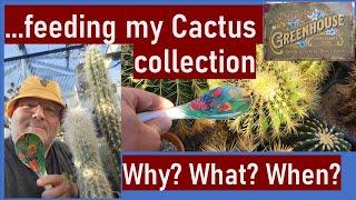 Fertilizing & feeding my cacti and succulents - why, what, how and when? #cacti #cactus #fertilizer