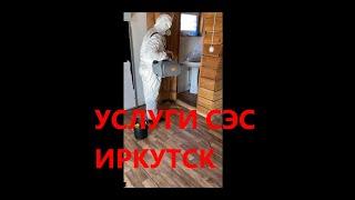 Услуги сэс в Иркутске