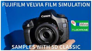 Fujifilm Velvia Film Simulation on Canon 5D Classic: Samples